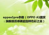 oppoa1pro参数（OPPO A1图赏：旗舰级质感邂逅别样色彩之美）