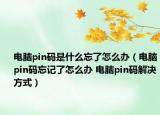 电脑pin码是什么忘了怎么办（电脑pin码忘记了怎么办 电脑pin码解决方式）