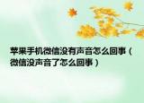 苹果手机微信没有声音怎么回事（微信没声音了怎么回事）