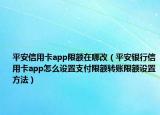 平安信用卡app限额在哪改（平安银行信用卡app怎么设置支付限额转账限额设置方法）