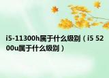 i5-11300h属于什么级别（i5 5200u属于什么级别）
