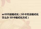 sd卡不能格式化（SD卡无法格式化怎么办 SD卡格式化方式）