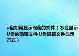 u盘如何显示隐藏的文件（怎么显示U盘的隐藏文件 U盘隐藏文件显示方式）