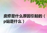 皮疹是什么原因引起的（p站是什么）