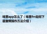 哇塞app怎么了（哇塞fm如何下载音频操作方法介绍）