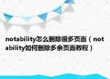 notability怎么删除很多页面（notability如何删除多余页面教程）
