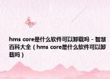 hms core是什么软件可以卸载吗 - 智慧百科大全（hms core是什么软件可以卸载吗）