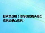 自聚焦透镜（照相机的镜头是凹透镜还是凸透镜）