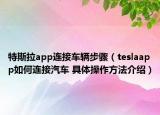特斯拉app连接车辆步骤（teslaapp如何连接汽车 具体操作方法介绍）
