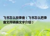 飞书怎么放录音（飞书怎么把录音文件转换文字介绍）