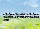 支付宝免密支付能追回吗（支付宝免密支付被盗刷怎么办支付宝免密支付被盗刷能理赔吗）