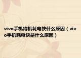 vivo手机待机耗电快什么原因（vivo手机耗电快是什么原因）