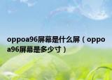 oppoa96屏幕是什么屏（oppoa96屏幕是多少寸）