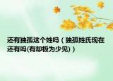 还有独孤这个姓吗（独孤姓氏现在还有吗(有却极为少见)）