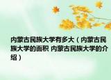 内蒙古民族大学有多大（内蒙古民族大学的面积 内蒙古民族大学的介绍）