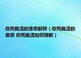 你死我活的意思解释（你死我活的意思 你死我活如何理解）