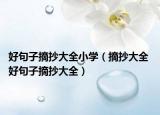 好句子摘抄大全小学（摘抄大全 好句子摘抄大全）