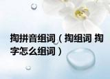 掏拼音组词（掏组词 掏字怎么组词）
