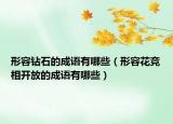 形容钻石的成语有哪些（形容花竞相开放的成语有哪些）