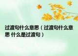 过渡句什么意思（过渡句什么意思 什么是过渡句）