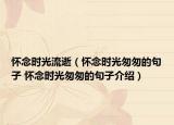 怀念时光流逝（怀念时光匆匆的句子 怀念时光匆匆的句子介绍）