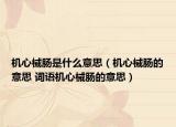 机心械肠是什么意思（机心械肠的意思 词语机心械肠的意思）