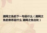漏网之鱼的下一句是什么（漏网之鱼的意思是什么 漏网之鱼出处）