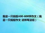 我是一只蚂蚁400-600字作文（我是一只蚂蚁作文 这样写没错）
