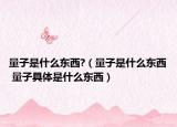 量子是什么东西?（量子是什么东西 量子具体是什么东西）