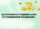 桃之夭夭灼灼其华之子于归宜其室家什么意思（之子于归宜其室家的意思 原文及翻译请查收）