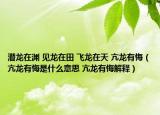 潜龙在渊 见龙在田 飞龙在天 亢龙有悔（亢龙有悔是什么意思 亢龙有悔解释）