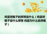 鸡蛋进瓶子的原理是什么（鸡蛋进瓶子是什么原理 鸡蛋为什么能进瓶子）