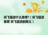 突飞猛进什么意思?（突飞猛进意思 突飞猛进的释义）