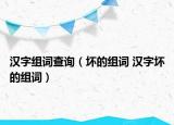 汉字组词查询（坏的组词 汉字坏的组词）