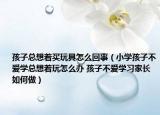 孩子总想着买玩具怎么回事（小学孩子不爱学总想着玩怎么办 孩子不爱学习家长如何做）