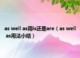 as well as用is还是are（as well as用法小结）