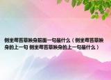侧坐莓苔草映身前面一句是什么（侧坐莓苔草映身的上一句 侧坐莓苔草映身的上一句是什么）
