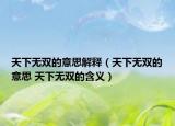 天下无双的意思解释（天下无双的意思 天下无双的含义）