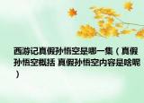 西游记真假孙悟空是哪一集（真假孙悟空概括 真假孙悟空内容是啥呢）