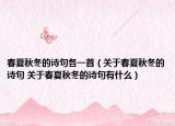 春夏秋冬的诗句各一首（关于春夏秋冬的诗句 关于春夏秋冬的诗句有什么）