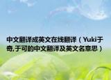 中文翻译成英文在线翻译（Yuki于奇,于可的中文翻译及英文名意思）