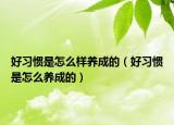 好习惯是怎么样养成的（好习惯是怎么养成的）