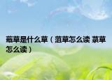 蕺草是什么草（菹草怎么读 菉草怎么读）