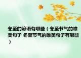冬至的谚语有哪些（冬至节气的唯美句子 冬至节气的唯美句子有哪些）