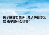 兔子拼音怎么拼（兔子拼音怎么写 兔子是什么拼音）