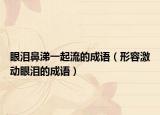眼泪鼻涕一起流的成语（形容激动眼泪的成语）