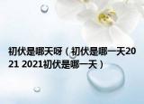 初伏是哪天呀（初伏是哪一天2021 2021初伏是哪一天）
