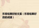 形容结果好的文案（形容结果好的的成语）