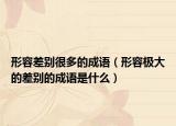 形容差别很多的成语（形容极大的差别的成语是什么）