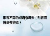形容不同的成语有哪些（形容假成语有哪些）